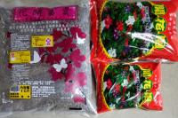 花開富貴肥-開花