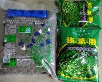 開枝展葉肥-枝葉