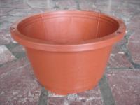 红吊盆(无底盘)