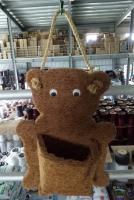 小熊硬椰半壁盆-QQ10